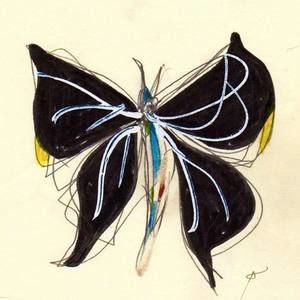 Meet your Posher, Diamond